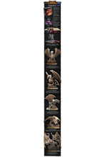 Arena: The Contest 1.5 & Tanares RPG Collection Bundle
