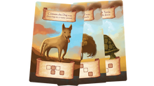 Roam Ultimate Combo Pack