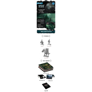 Solomon Kane Puritan Pledge with Expansions