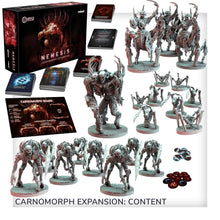 Nemesis Lockdown All-In Pledge